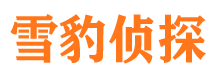 龙游市侦探调查公司